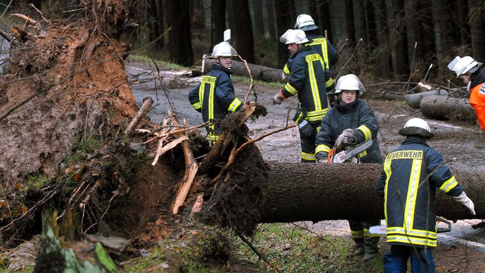 Feuerwehrleute beseitigen umgestürzte Bäume.