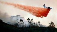 Ein Löschflugzeug kreist über den Baumwipfeln eines rauchenden Waldes und lässt rote Löschflüssigkeit ab