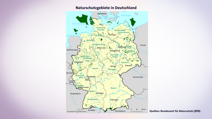Kartenansicht: Naturschutzgebiete in Deutschland. | Bildquelle: Bundesamt für Naturschutz (BfN) Kartenansicht: Naturschutzgebiete in Deutschland.