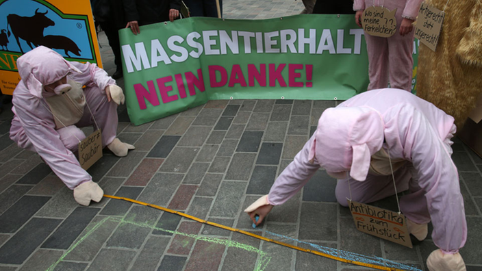 Mehrere Mitglieder des BUND protestieren auf der Straße. Im Hintergrund hängt ein Banner mit der Aufschrift "Massentierhaltung? Nein danke!"