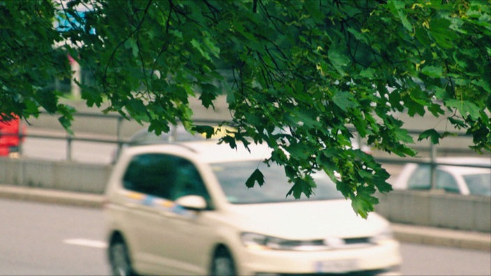 Bäume und Autos | Bildquelle: BR Bäume und Autos