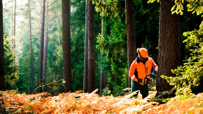Holzfäller bei der Arbeit im Wald. | Bildquelle: imageBROKER / Val Thoermer Holzfäller bei der Arbeit im Wald.