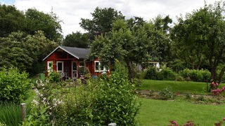 Blaue Hütte in einem Kleingarten.