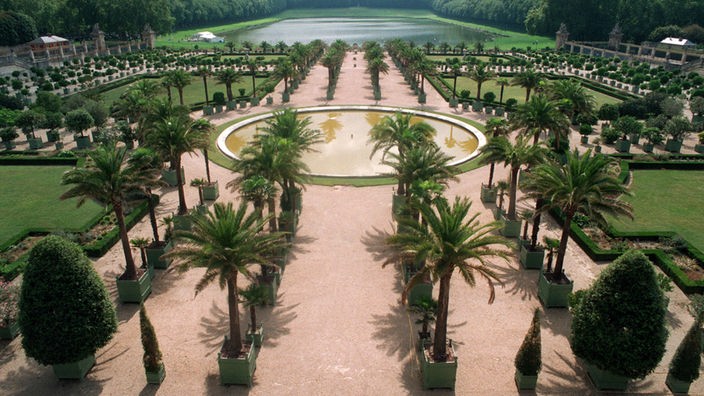 Große Parkanlage mit Palmen, einem See und weiteren Pflanzen. Die Palmen stehen in mehreren geraden Linien.