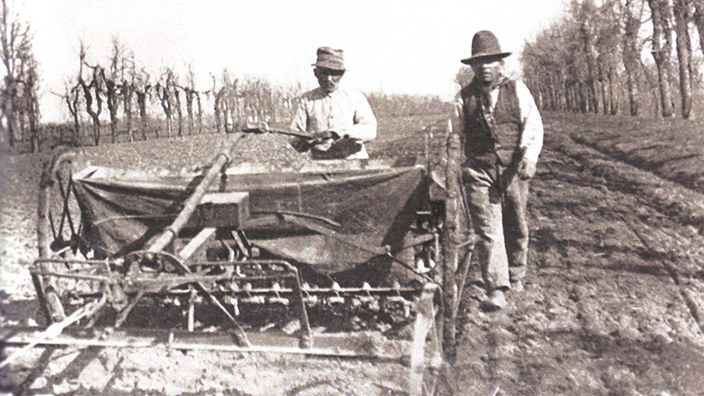 Schwarz-weiß Foto einer Hanf-Aussaat, zwei Männer pflügen einen Acker