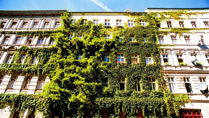 Begrünte Hausfassade | Bildquelle: Imago/Lem Begrünte Hausfassade