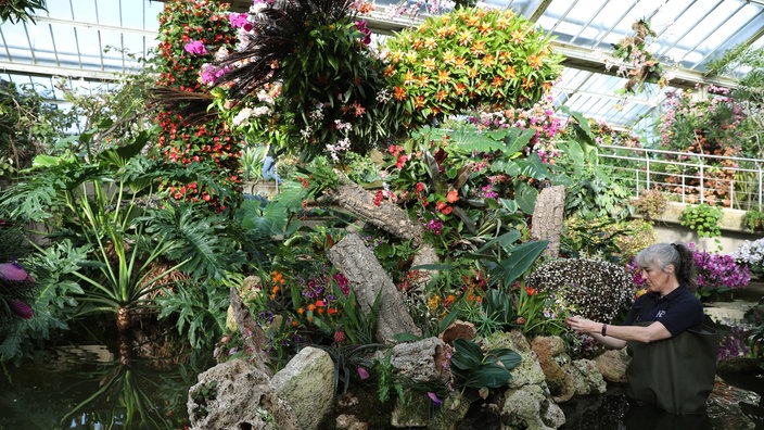 Frau vor einer Ansammlung von Orchideen | Bildquelle: Imago/PA Images/Isabel Infantes Frau vor einer Ansammlung von Orchideen