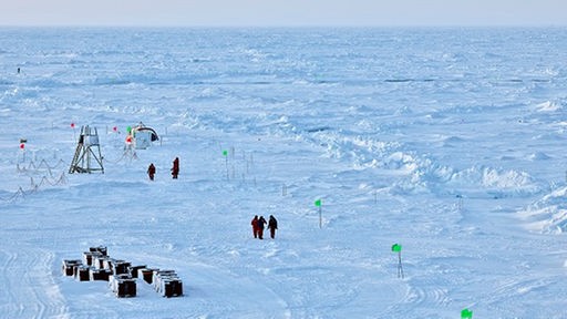 Wissenschaftler laufen übers arktische Eis.