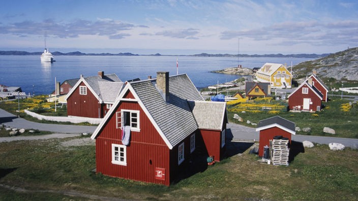 Rot bemalte Holzhäuser stehen an einer relativ kahlen Küste Grönlands, im Hintergrund das ruhige Meer.