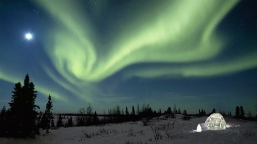 Polarlichter über der Winterlandschaft von Manitoba in Kanada
