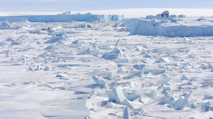 eine Eiswüste | Bildquelle: wdr eine Eiswüste