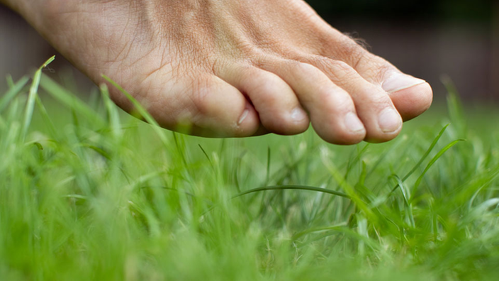 Barfuß im Gras. | Bildquelle: dpa/Friso Gentsch Barfuß im Gras.