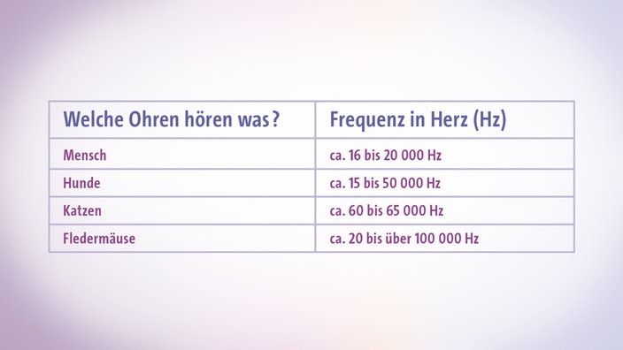 Tabelle über den Frequenzbereich, in welchem verschiedene Lebewesen hören können | Bildquelle: Planet Wissen Tabelle über den Frequenzbereich, in welchem verschiedene Lebewesen hören können