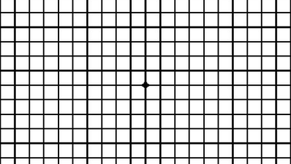 Amslernetz: Grafik mit schwarzen geraden Linien, die regelmäßige Karos bilden.