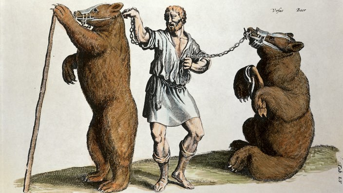 Eine Zeichnung in Farbe, die einen Bärentreiber mit zwei Bären darstellt.