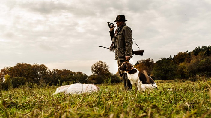 Geschichte Der Jagd Pro Und Contra Jagd Tier Und Mensch Natur Planet Wissen