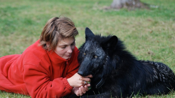 Friederike Range liegt neben handaufgezogenem Wolf | Bildquelle: WSC (Wolf Science Center)/ Walter Vorbeck Friederike Range liegt neben handaufgezogenem Wolf