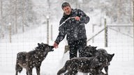 Kurt Kotrschal steht im Schneegestöber, umgeben von drei Wölfen.