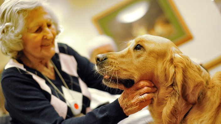 ältere Frau streichelt Golden Retriever