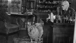 Siegmund Freud am Schreibtisch, davor sein Hund, den er als einer der Ersten zur Unterstützung von Psychotherapien einsetzte.