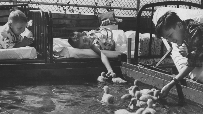 Schwarzweißfotografie: Kranke Kinder im Bett beobachten und streicheln Entenküken. | Bildquelle: SWR Schwarzweißfotografie: Kranke Kinder im Bett beobachten und streicheln Entenküken.