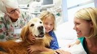Mädchen im Krankenhausbett umarmt einen Therapiehund