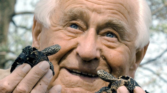 Der Tierfilmer Heinz Sielmann hält zwei kleine Europäische Sumpfschildkröten hoch