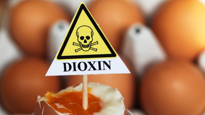 Schild mit Aufschrift "Dioxin" auf einem aufgeschlagenen Ei.