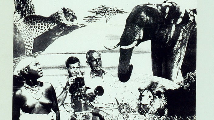 Filmplakat zu 'Serengeti darf nicht sterben'. Der Name des Films steht in großen roten Buchstaben oben auf dem Plakat. Darunter eine schwarzweiße Collage aus Tieren, einem Flugzeug einer Massaifrau und dem Kamerateam.