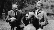 Bernhard Grzimek mit einem Tierhändler und einem Bambusbären im Frankfurter Zoo