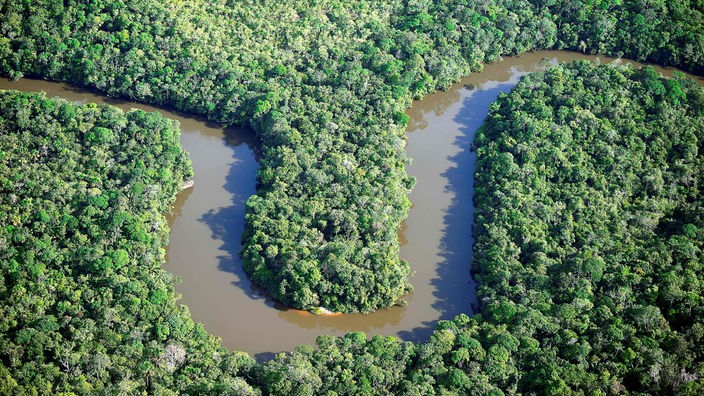 Luftaufnahme eines Flusses, der sich durch einen Dschungel schlängelt