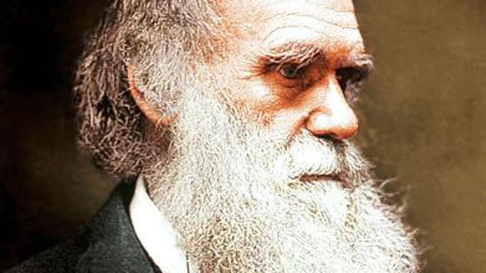 Porträtfoto des alten, vollbärtigen Charles Darwin.