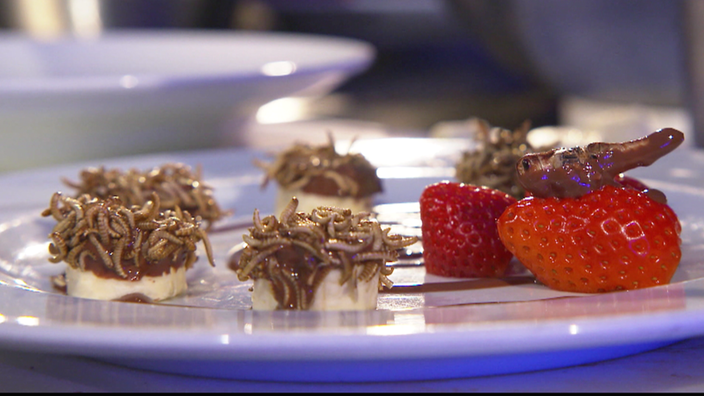 Insektendessert – Schoko-Maden auf Banane, Grillen an Erdbeeren | Bildquelle: NDR Insektendessert – Schoko-Maden auf Banane, Grillen an Erdbeeren
