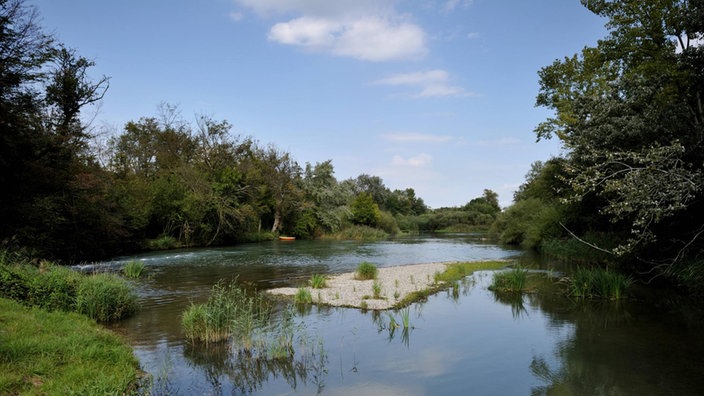 Blick auf eine natürliche Auenlandschaft mit offenem Wasser. | Bildquelle: WDR / picture alliance / blickwinkel/R Blick auf eine natürliche Auenlandschaft mit offenem Wasser.