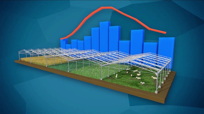 Grafik: Wiesenflächen vor blauem Hintergrund, mit Klimadiagramm im Hintergrund.