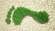 Synbolbild: Ein grüner Fußabdruck aus Rasen auf einem verdörrten Boden
