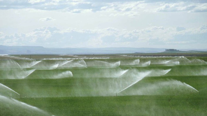 Intensive Bewässerung von Feldern in Arizona (USA).