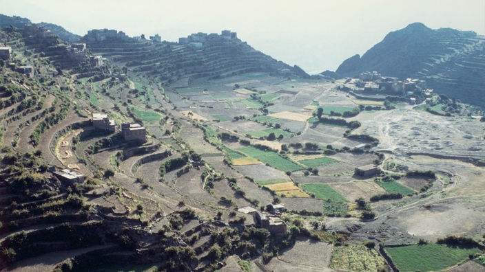 Terrassenfelder im Jemen.