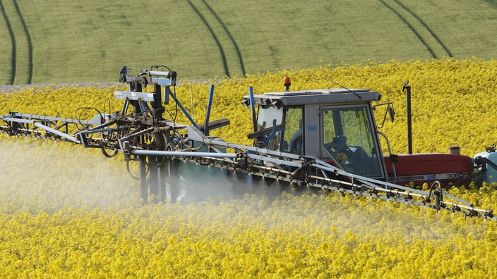 Traktoren versprühen Pflanzenschutzmittel auf einem Rapsfeld | Bildquelle: imago stock / Blickwinkel Traktoren versprühen Pflanzenschutzmittel auf einem Rapsfeld
