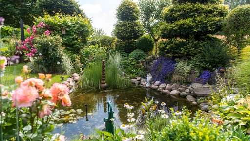 Gartenteich mit blühenden Pflanzen und Rasen ringsum