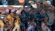 Gebratene Singvögel auf chinesischem Markt