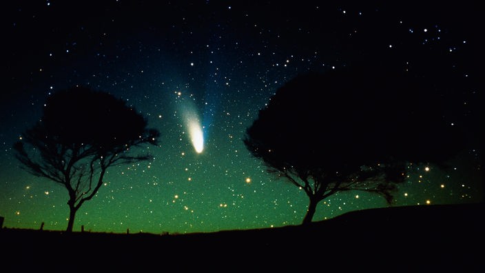Nachtlandschaft: zwischen zwei Bäumen ist ein heller Komet zu am Himmel zu sehen
