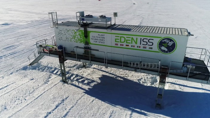 In einem Antarktis-Container versuchen DLR-Wissenschaftler Gemüse zu züchten.