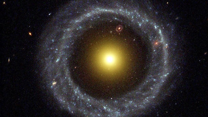 Blauer Sternenring um den gelben Kern einer Galaxie.