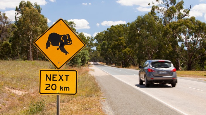 Koala-Warnschild an einer Straße | Bildquelle: Mauritius Koala-Warnschild an einer Straße
