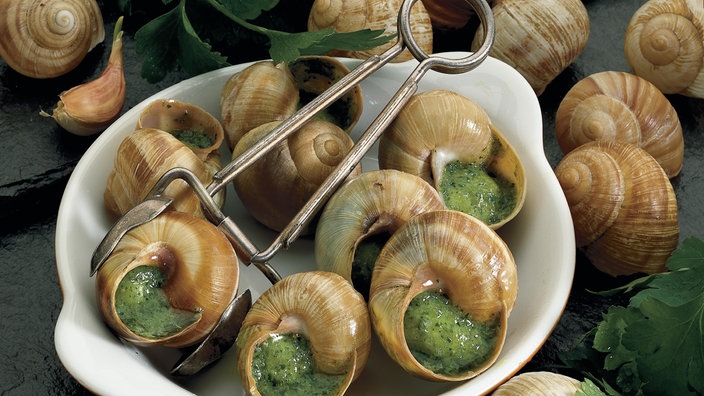 Sieben in eigener Schale gebackene Weinbergschnecken, mit Kräuterbutter veredelt.