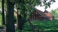 Ein Bauernhof liegt unter Bäumen an einem lauschigen Weg im Münsterland