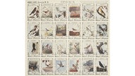 Verschiedene Vogel-Sammelbilder.