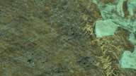 UV-Licht lässt Haut- und Federreste an einem Fossil deutlich sichtbar werden.