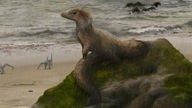 Ein kleiner gefiederter Raubsaurier mit langem buschigen Schwanz sitzt auf einem Fels, im Hintergrund sind Flugsaurier auf einem Strand.